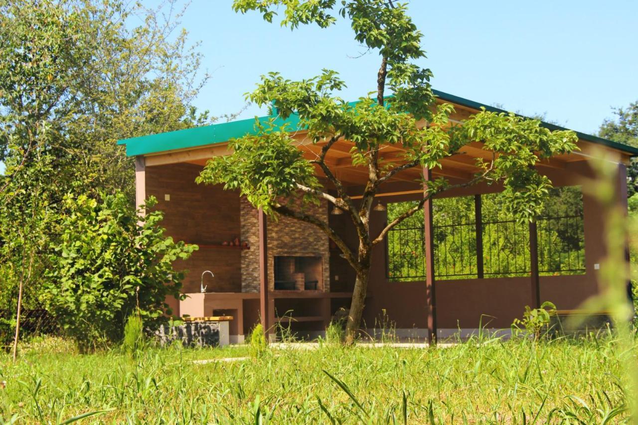 Villa Rokiti Exteriér fotografie