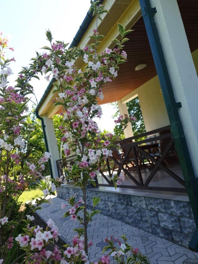 Villa Rokiti Exteriér fotografie