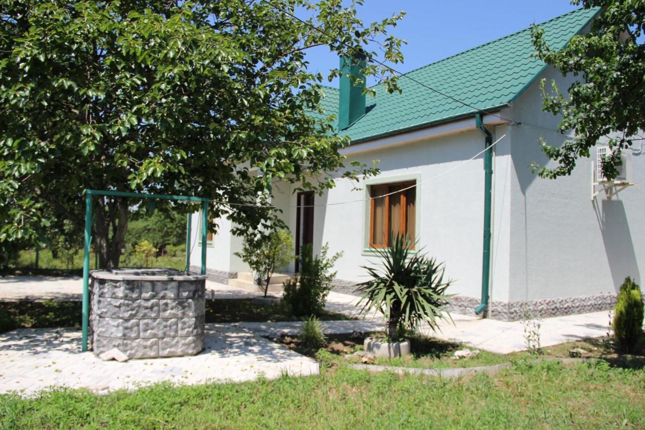 Villa Rokiti Exteriér fotografie