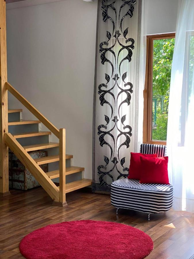Villa Rokiti Exteriér fotografie