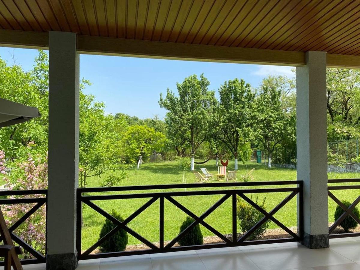 Villa Rokiti Exteriér fotografie