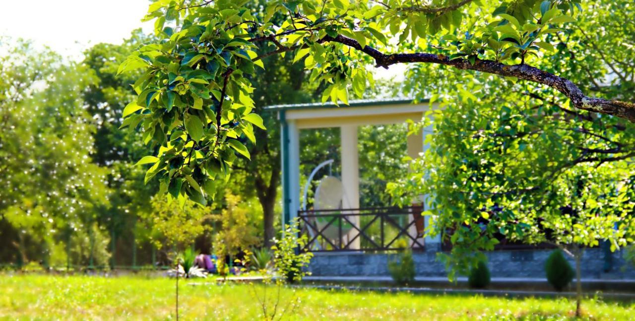 Villa Rokiti Exteriér fotografie